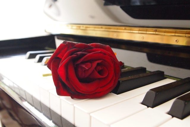 Růže na klavíru  (ilustrační foto) | foto: Fotobanka  Stock Exchange