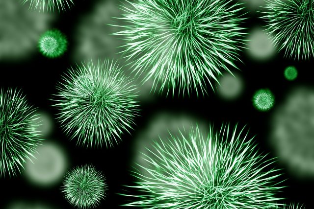 Bakterie,  infekce  (ilustrační foto) | foto: Fotobanka Pixabay