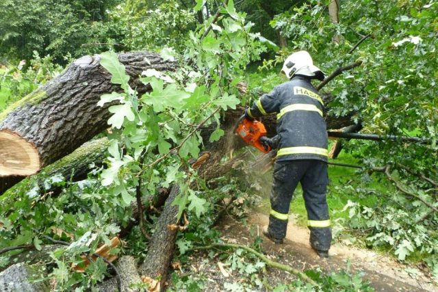 Hasiči odstraňují stromy popadané kvůli vichřici  (ilustrační foto) | foto:  Hasičský záchranný sbor Libereckého kraje