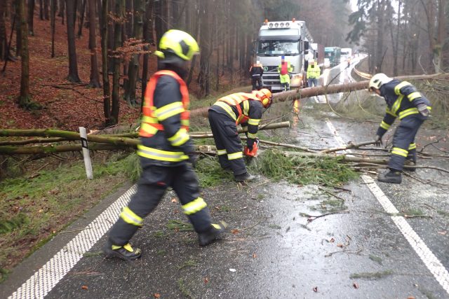 Krajští hasiči od rána zasahují u popadaných stromů | foto: HZS Zlínského kraje