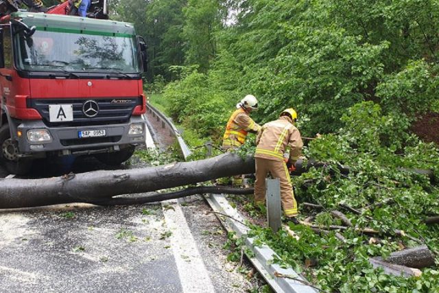 Hasiči museli u Chvalčova odstranit popadané stromy | foto: Hasičský záchranný sbor Zlínského kraje