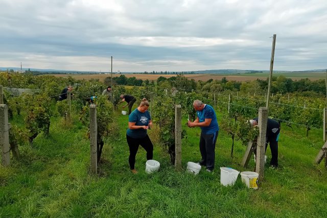 Vinařství Jančura | foto: Archiv vinařství Jančura