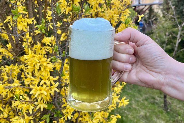 Zelené pivo | foto: Blanka Kovandová,  Český rozhlas