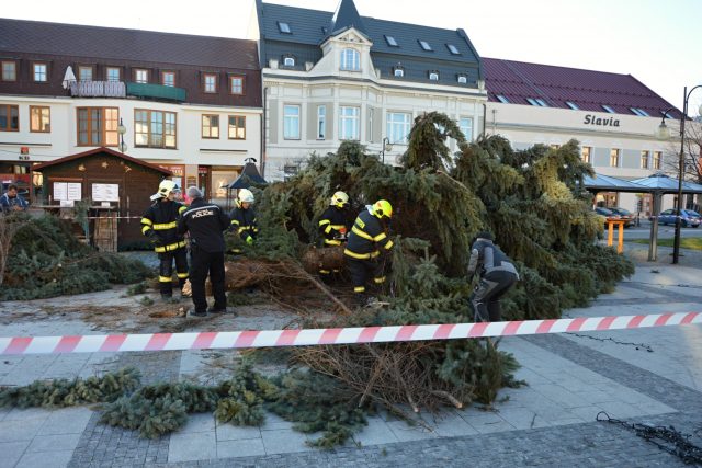 Zřícený vánoční strom v Holešově | foto: město Holešov