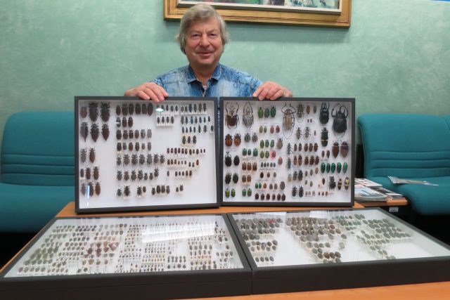 Entomolog Vladimír Kubík se svou unikátní sbírkou ve studiu Českého rozhlasu Hradec Králové | foto: Milan Baják,  Český rozhlas