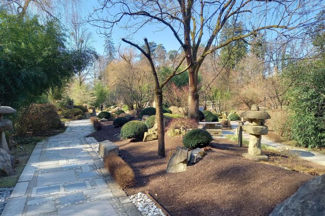 Kamenná cesta v japonské zahradě Mu-Shin | foto: Andrea Kratinová,  Český rozhlas