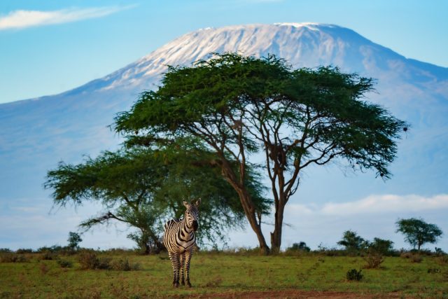 Expedice Z101,  Keňa,  Národní park Amboseli v podhůří Kilimandžára | foto: Expedice Z101  (bodhi.style s.r.o.)