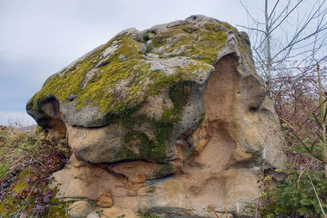 Uriášův kámen má nejspíš jméno po biblické postavě | foto: Andrea Kratinová,  Český rozhlas