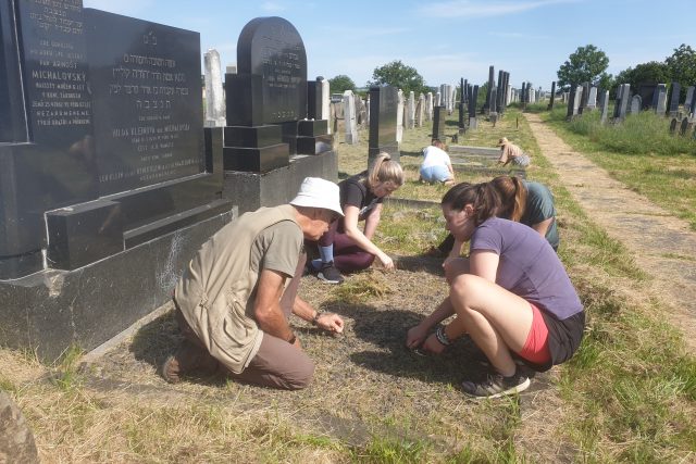 údržba židovského hřbitova v Holešově | foto: Veronika Žeravová,  Český rozhlas Zlín