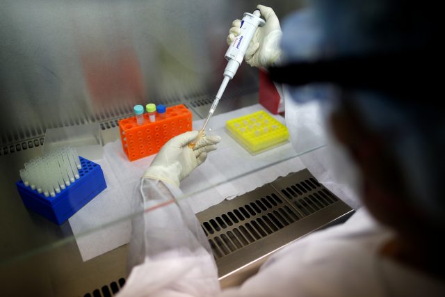 Vědec testuje vzorek na přítomnost nového koronaviru.  (ilustrační foto) | foto: Reuters