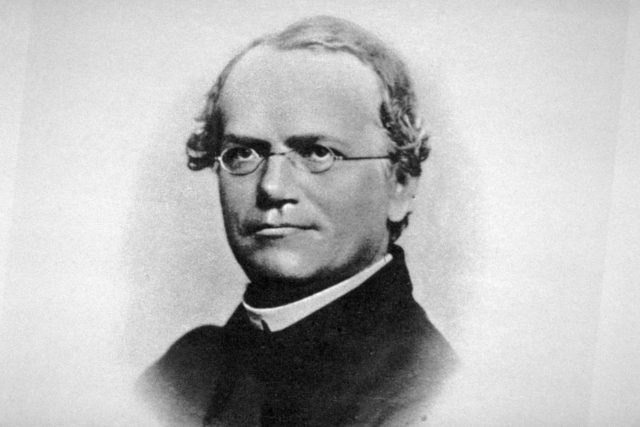 Před 200 lety se narodil Johann Gregor Mendel | foto: Profimedia